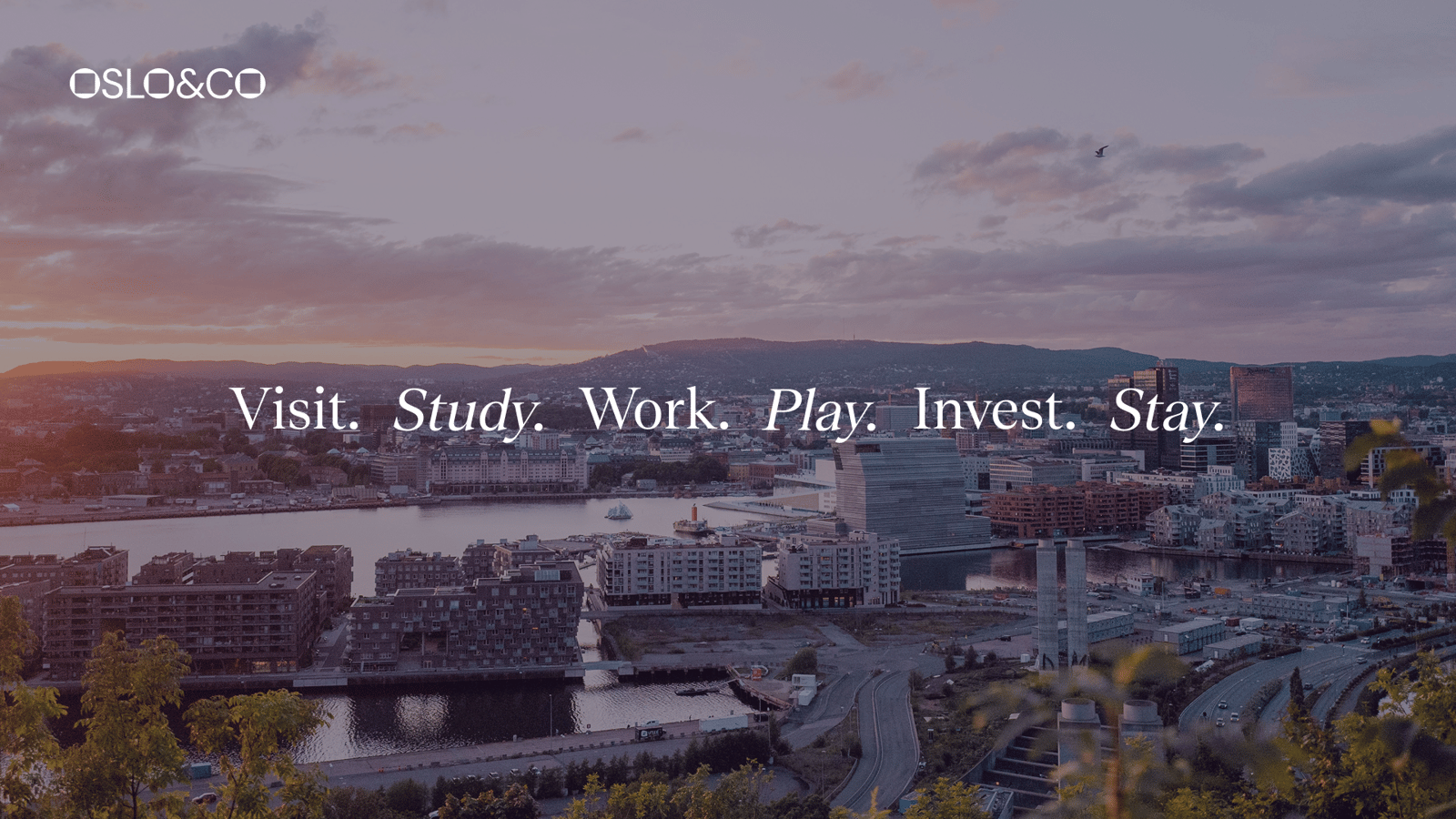 Kompetansespor – a pilot project to accelerate the work visa process for skilled immigrants
