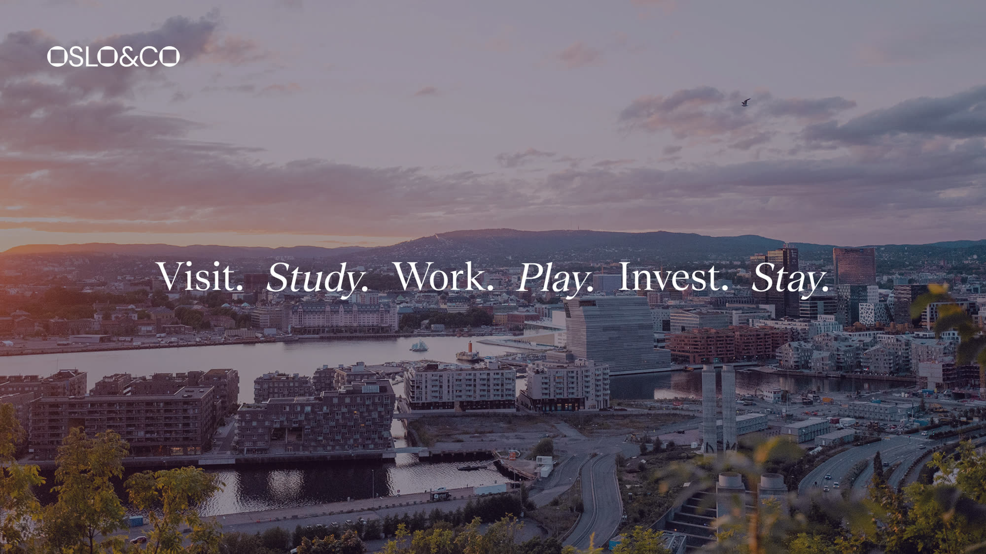 The Oslo skyline at dusk, captioned "Visit. Study. Work. Play. Invest. Stay."
